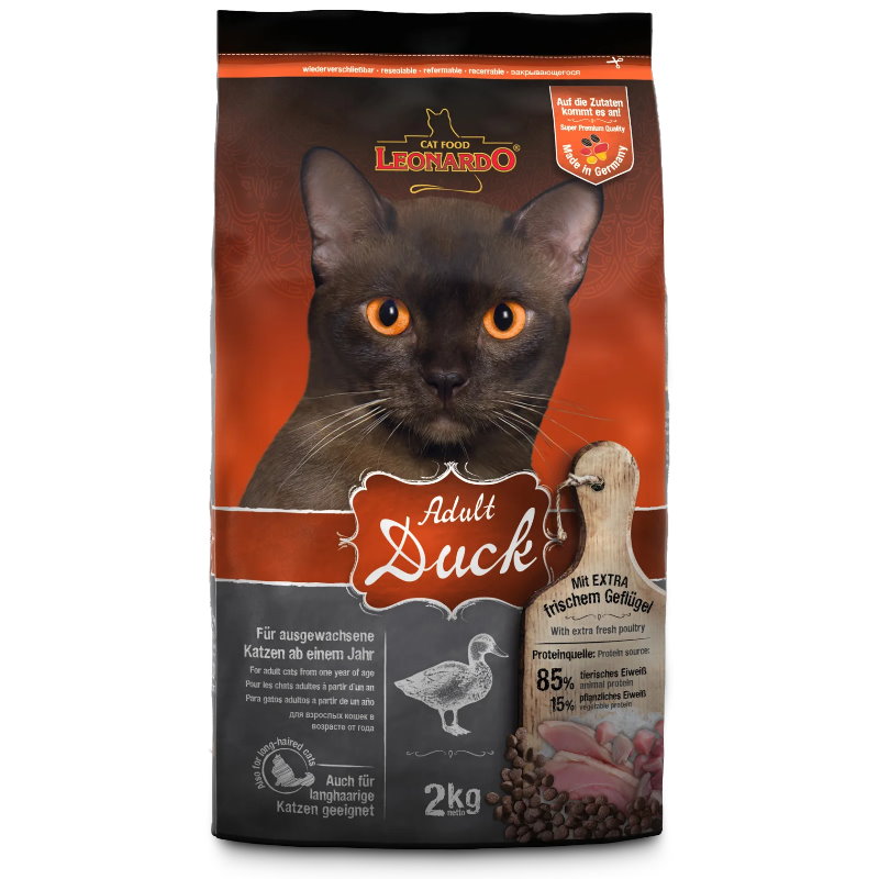 Leonardo 利安納度