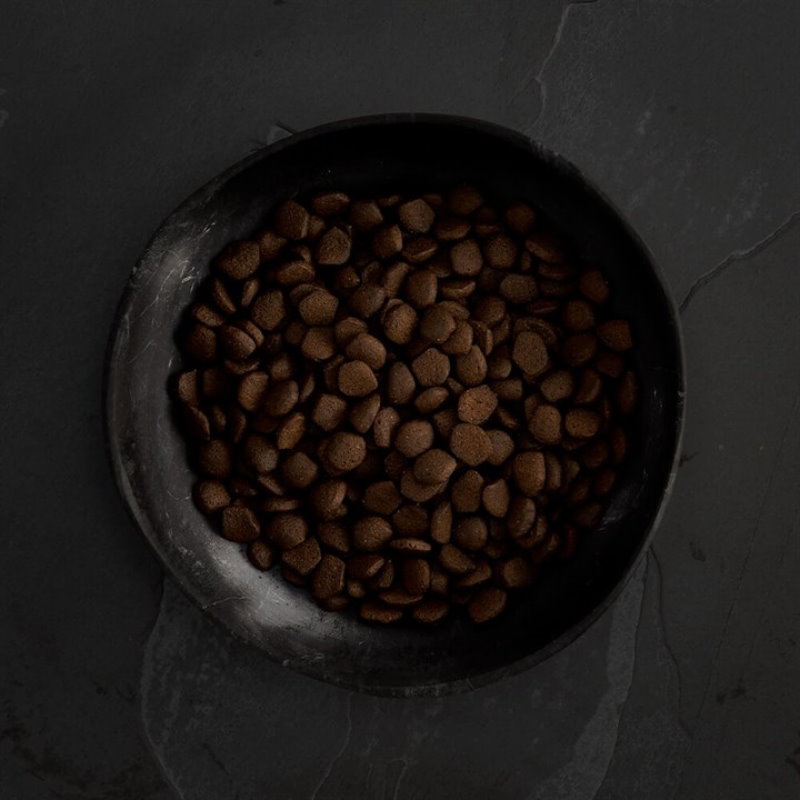 無穀物蘇格蘭三文魚配方（全犬）