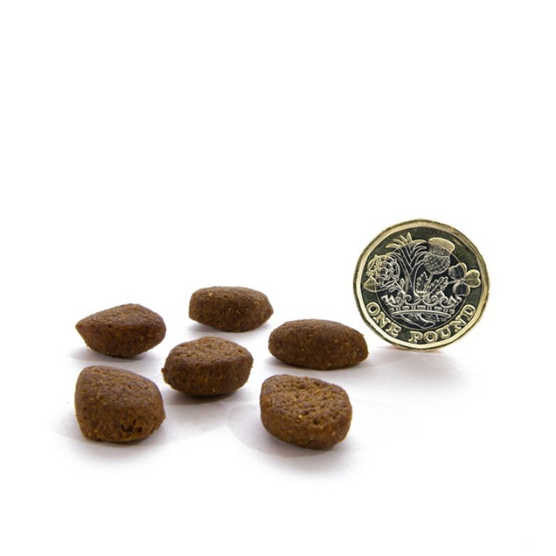 無穀物田園野味配方（全犬）