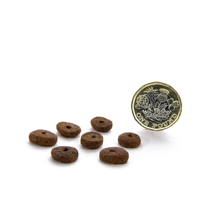 無穀物走地雞配方（小型犬）