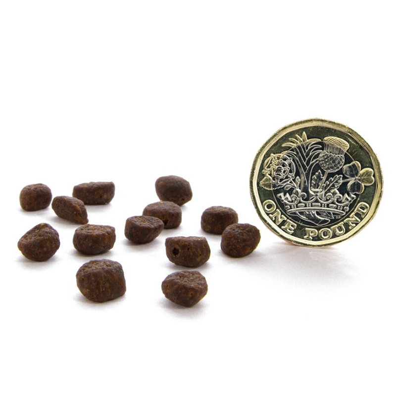 無穀物蘇格蘭三文魚貓配方