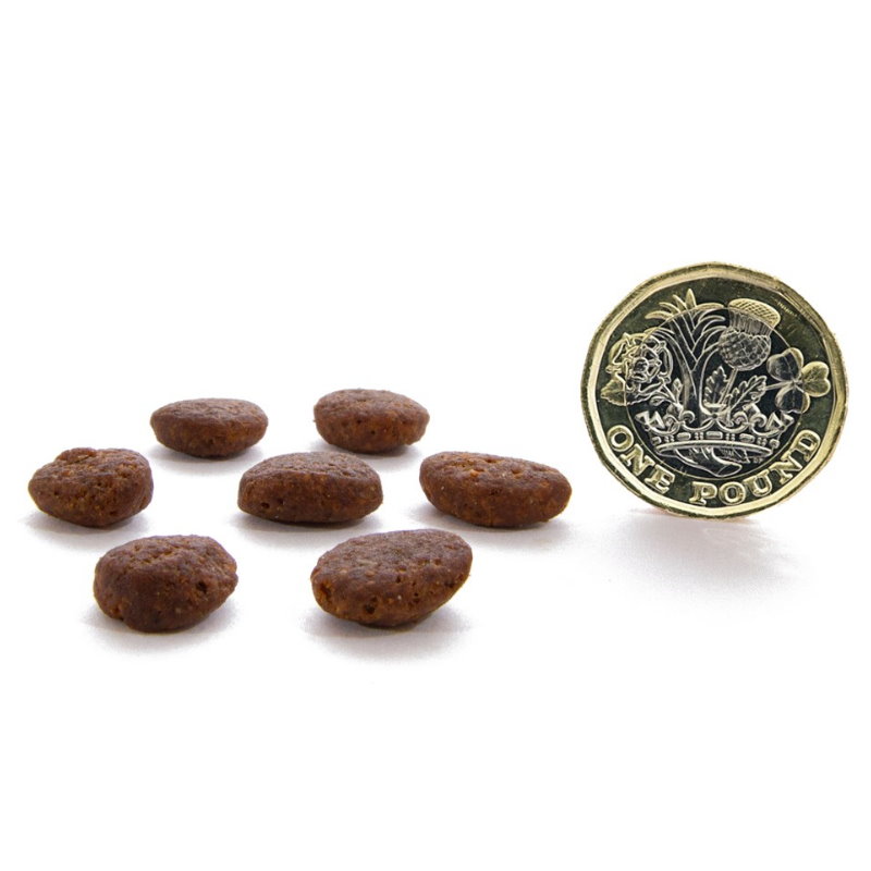 無穀物走地雞貓配方