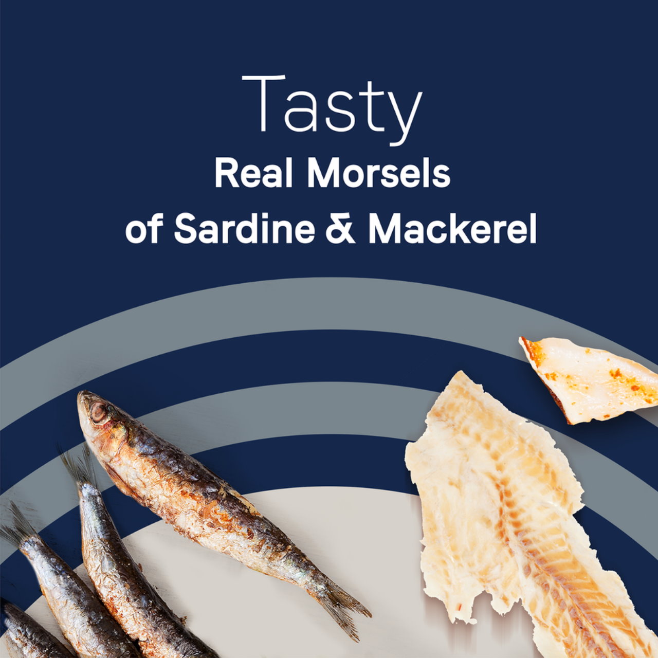 無穀物貓主食罐-沙丁魚與鯖魚