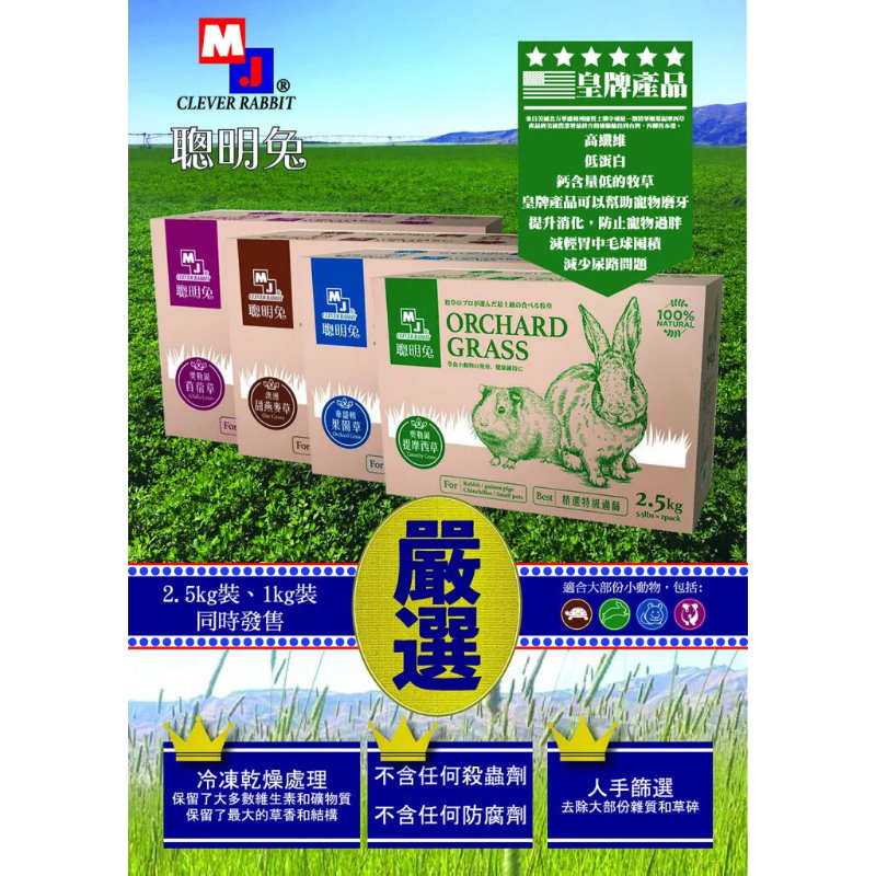 高山甜園提摩西牧草一割