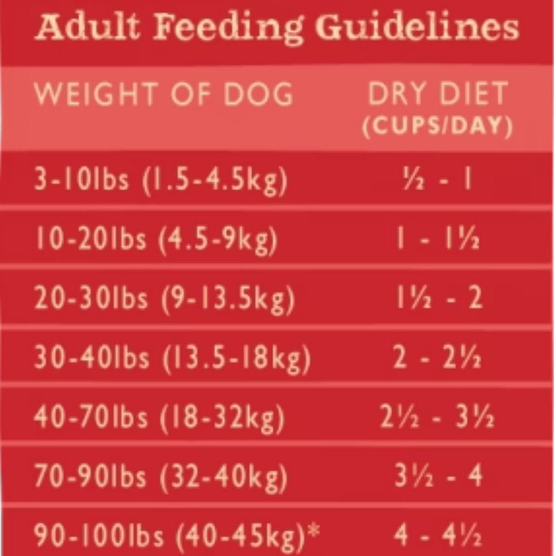 三文魚白鮭魚全犬