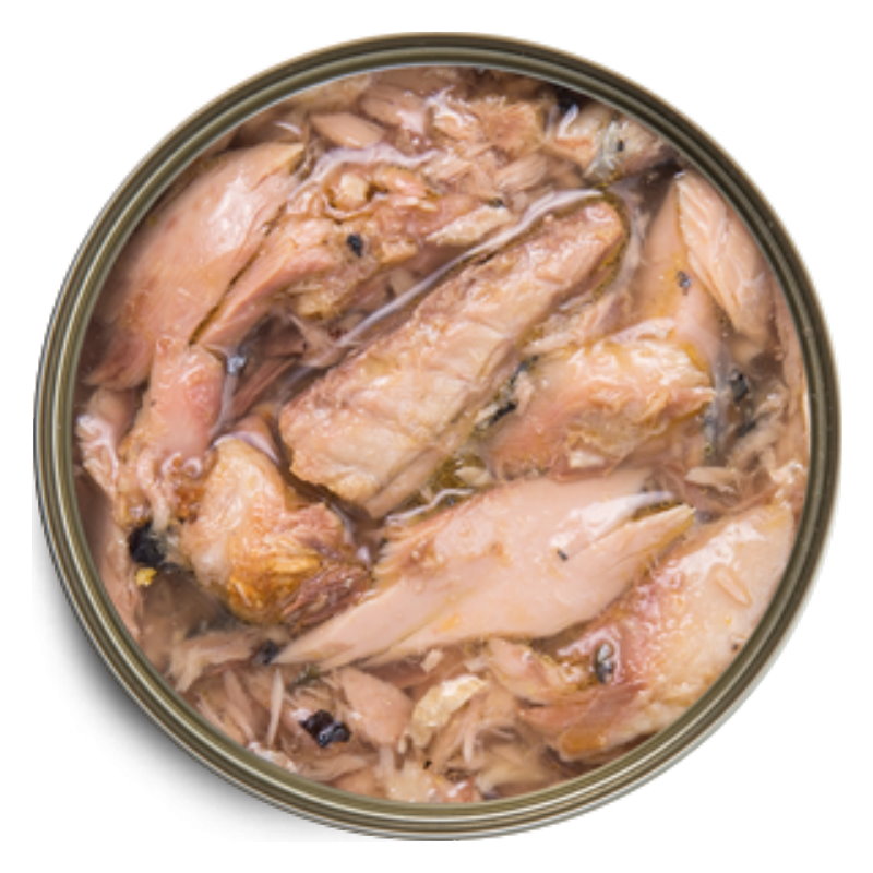 吞拿魚、鯖花魚 (825)