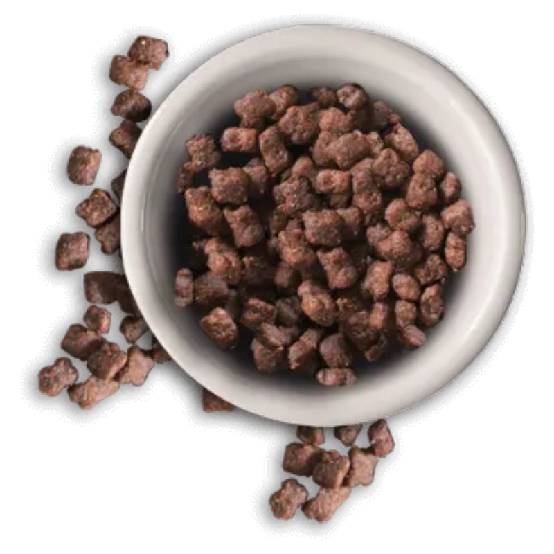 德國天然 幼貓雞肉配方